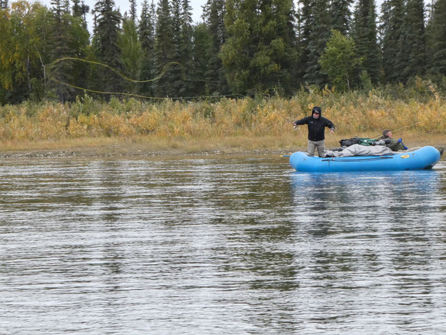 looking for Sheefish or Pike on the Kobuk