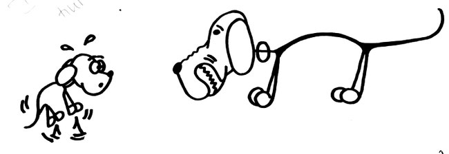 Workshops Amp Events Hundeschule Dusseldorf Mit Welpenspiel