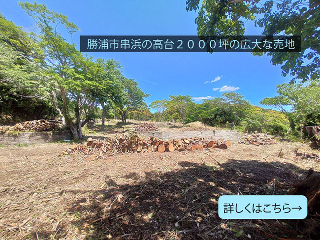 勝浦市串浜高台の海が見える売地