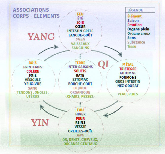 cinq éléments cinq sens cinq organes