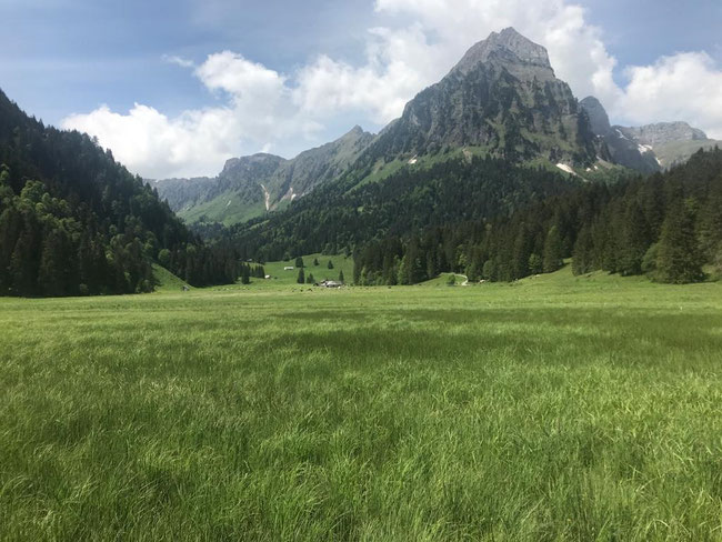 Obersee-Staafel war die erste Alp. die 2020 bestossen wurde.