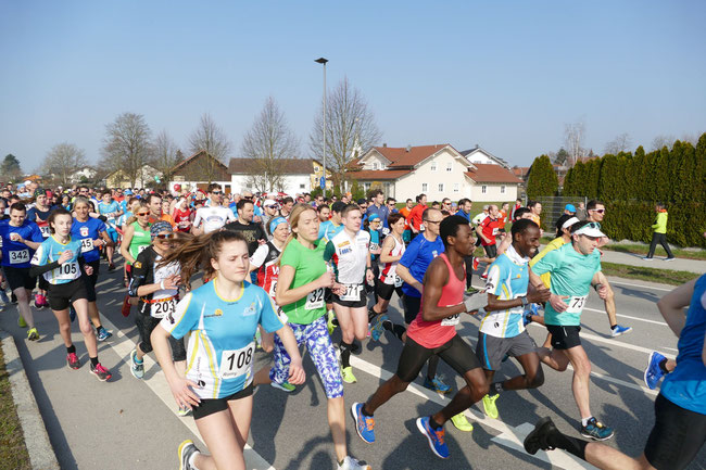 Über 400 Teilnehmer gingen 2019 bei der Halbmarathon-Veranstaltung an den Start.