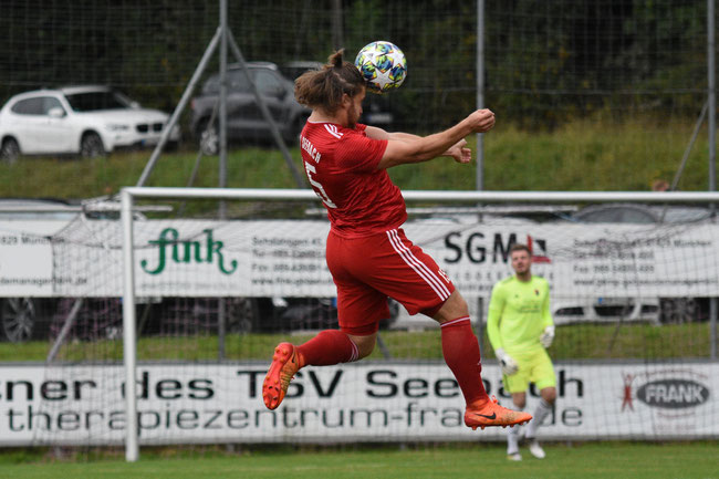 Dominik Hauner