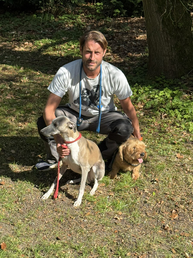 Esprit de famille chez Nos Amis Fidèles, pension pour chiens et chats à Lasnes - www.amis-fideles.be