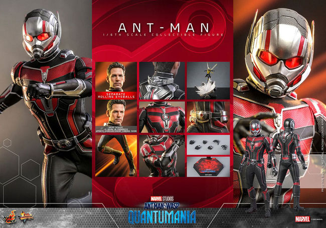 Ant-Man 1/6 Ant-Man & The Wasp - Quantumania Marvel Movie Masterpiece Actionfigur 30cm Hot Toys
