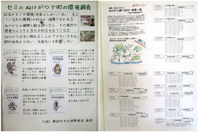 せみのぬけがらで街の環境調査