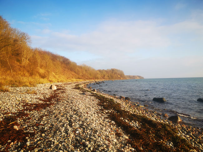 Rügen Dezember 2019