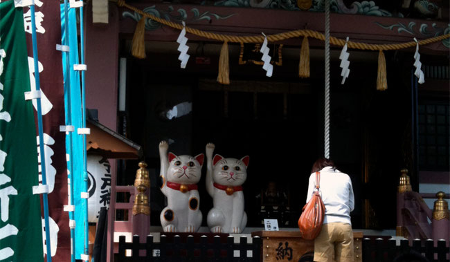 今戸神社