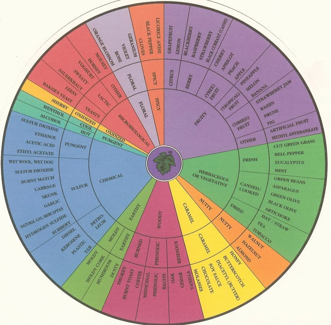 Nella figura è riportata una possibile rappresentazione, una delle tante proposte, della classificazione, gerarchia e prossimità dei più importanti descrittori relativi alle percezioni olfattive nell'uomo.