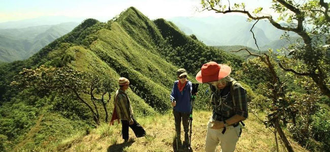 3 peopel are trekking in the Mountains of northern Thailand