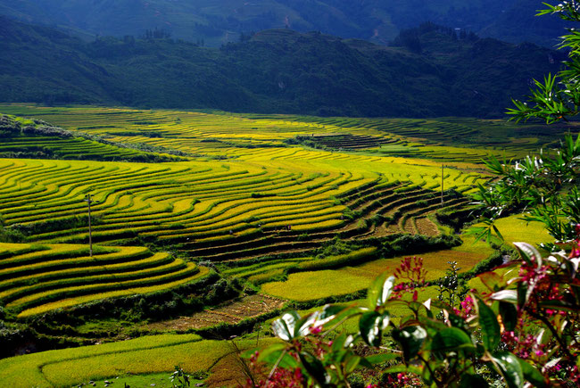 The Mountains of North Vietnam