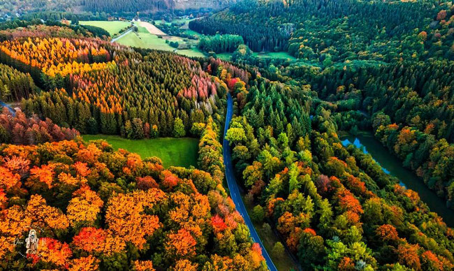 Winterberger Brückenpfad Richtung Elkeringhausen