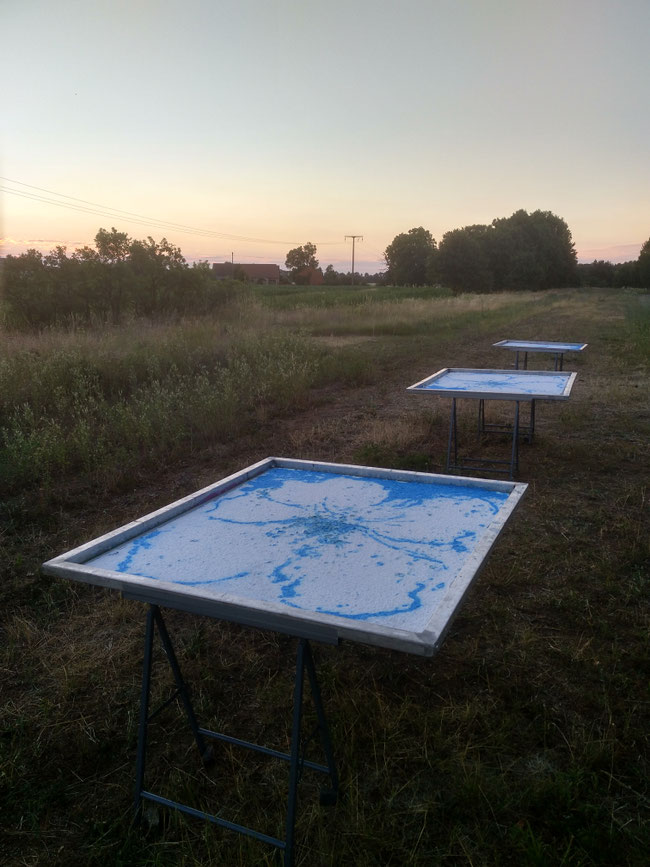 BLAUE BLUME FLACHS. 2022, paper casting open air, flax fibers, pigment, ash, rain