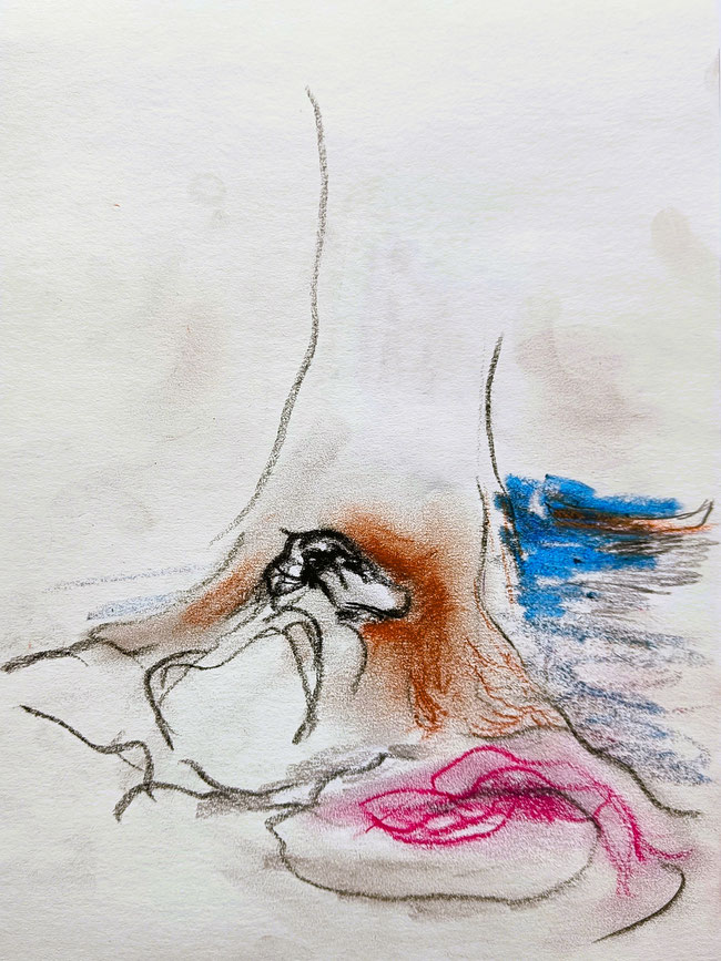 Resting Dog, Beech Tree & Boat. 2025. 30 x 21 cm, pastel & crayon on Fabriano Paper