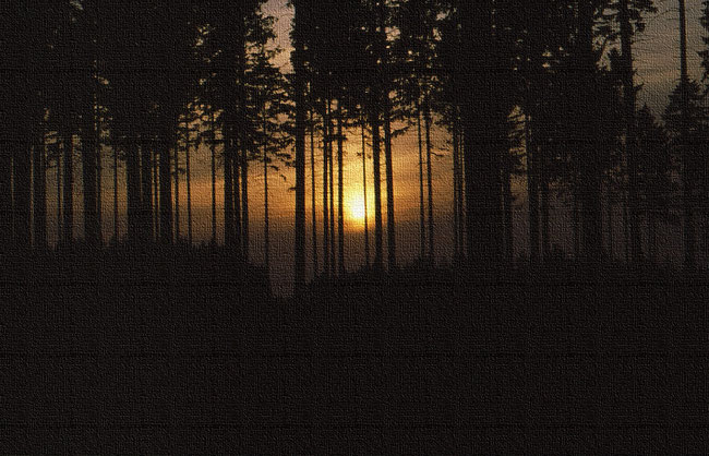 romantischer und ramontischer Sonnenuntergang hinter schwarzen Fichten
