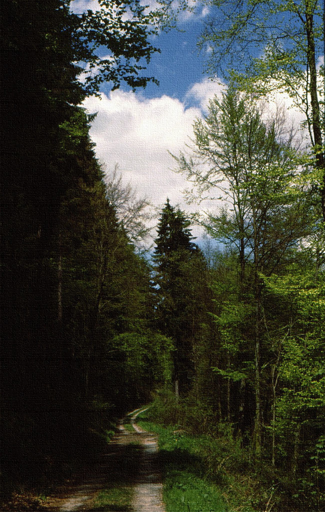 Waldweg, sich verlierend unter Mai-Himmel, zum Trostlied: Weiß ich den Weg auch nicht