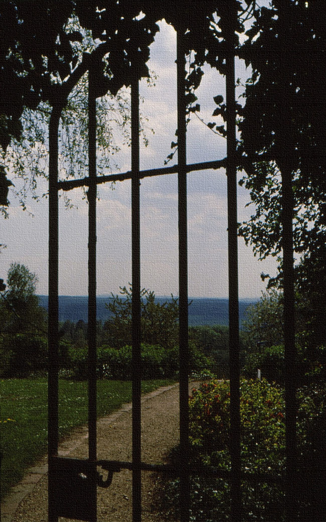 Tor halb geöffnet zum Bienengarten in Frühlingsfarben