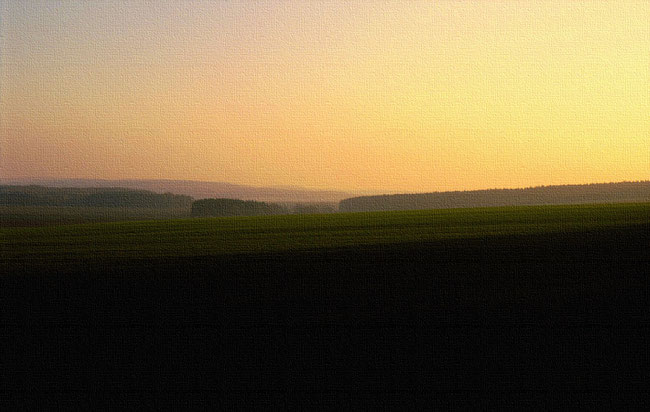 Gutsbezirk Reinhardswald, Waldrand am späten Herbst-Nachmittag