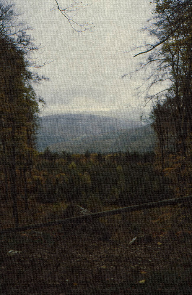 Herbstblick auf den Rheingau