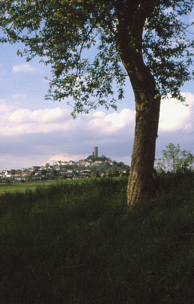 Burgruine Vetzberg hinter Apfelbaum an Aprilabend
