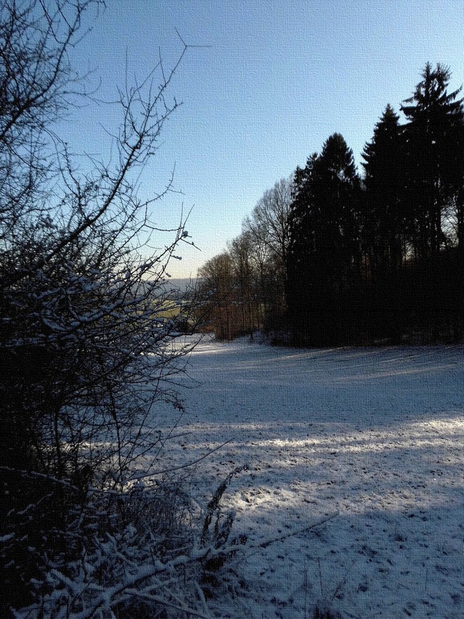 Goldborntal mit Januarschnee