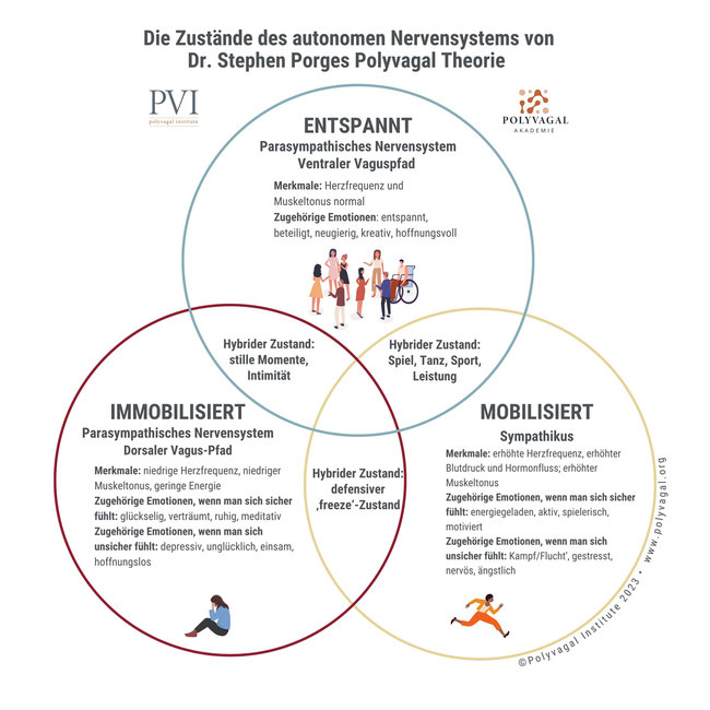 Traumatherapie, EMDR, Traumatherapie Kinder, Vagus Regulation 
