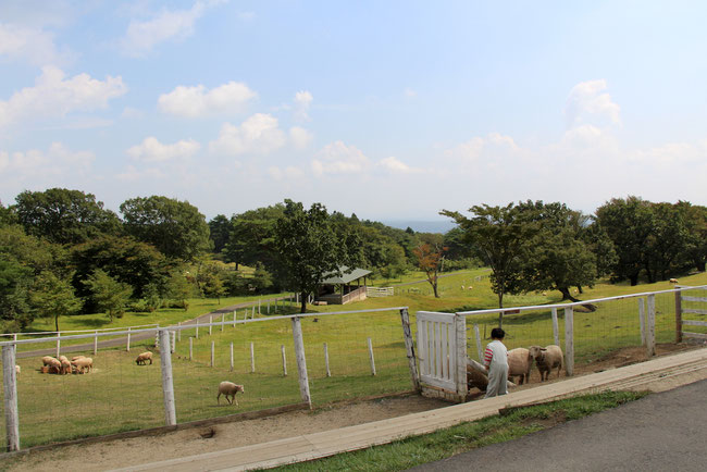 ラフォーレ那須　那須どうぶつ王国