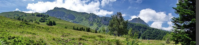 Des espaces naturels préservés