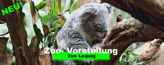 Zoo Leipzig Sachsen Tiere Ausflugsziel Park Plan Infos News Bilder Anfahrt Adresse Preise Parkplatz Attraktionen