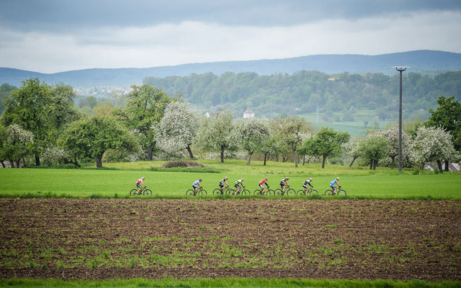 Beim Rothaus Hegau Bike-Marathon werden wieder die Europameister ermittelt © Marius Maasewerd/EGO-Promotion