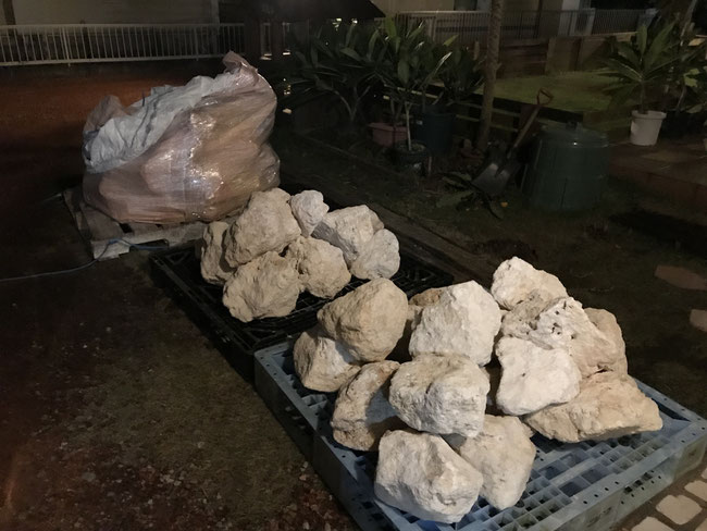 １ｔ分の琉球石灰岩。重い！