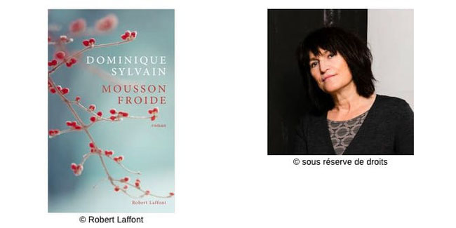 Couverture Mousson Froide #Polar #Noir #Thriller #Canada #Québec #Montreal #Corée #Femme #Chien #Drame #Enfants #Horreur #Pédopornographie #Psychologique Dominique Sylvain