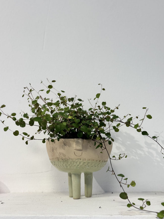 getöpferter Blumentopf in Flensburg