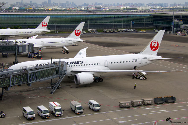 JA869J B787-9 35424/572 Japan Airlines International @ Tokyo Haneda 07.2023 © Piti Spotter Club Verona