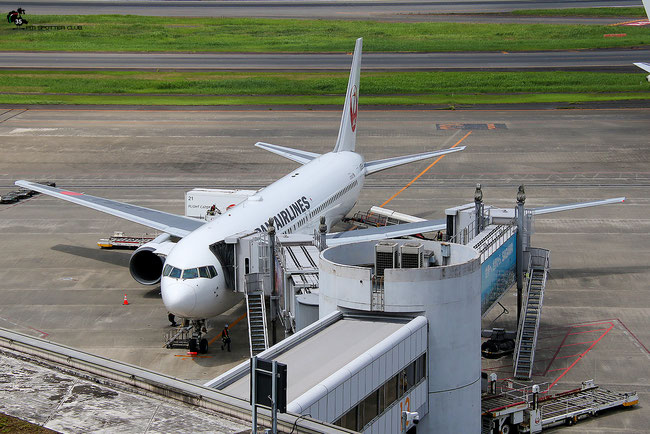 JA655J Boeing 767-300   Japan Airlines  @ Tokyo Haneda 07.2023 © Piti Spotter Club Verona