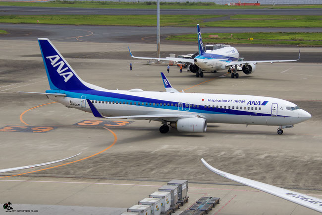 JA60AN B737-881 33897/3126 ANA - All Nippon Airways @ Tokyo Haneda 07.2023 © Piti Spotter Club Verona