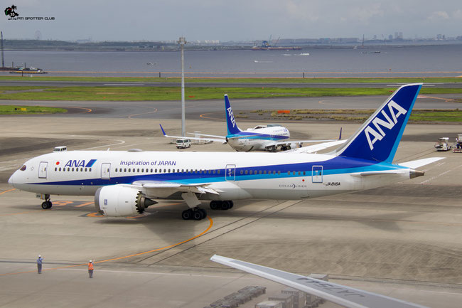 JA816A B787-8 34507/63 ANA - All Nippon Airways @ Tokyo Haneda 07.2023 © Piti Spotter Club Verona