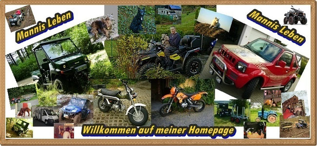 mannis4x4utv.de