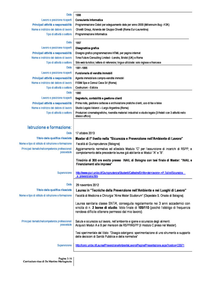Resume summary examples picture
