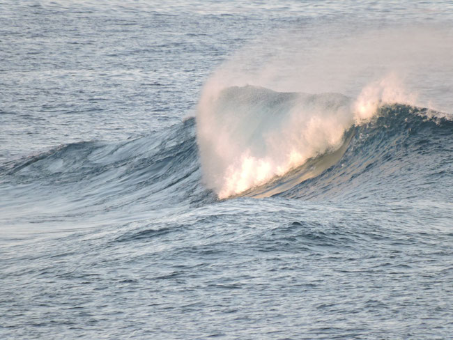 Welle im Meer