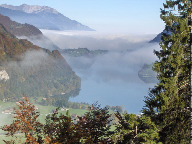 Lungernsee mit Nebelschwaden