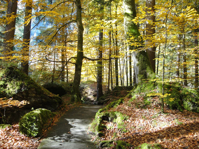 Herbst im Berner Oberland