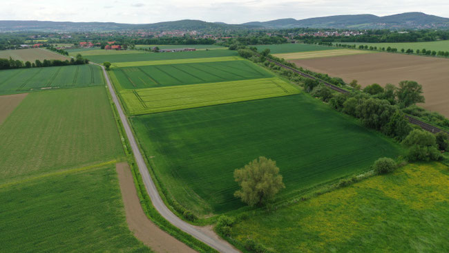 Luftbild Solarpark Bückeburg
