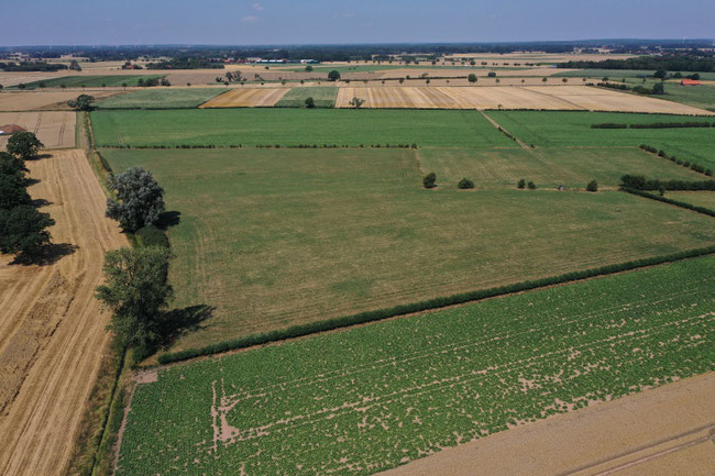 Luftbild Windpark Stolzenau