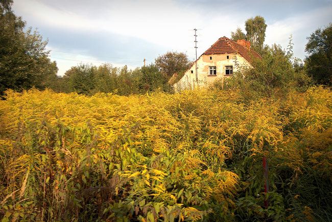 Verlassenes Gehöft in Haidemühl