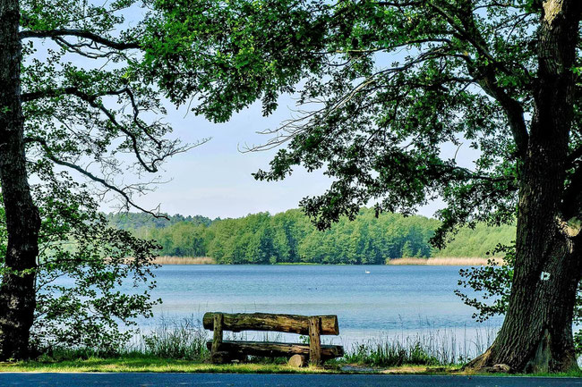 Ancampen am Lausiger Teich weltbummler2s Webseite!