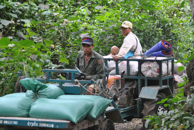 Laos Menschen Arbeit Tansport Getreide Reis 