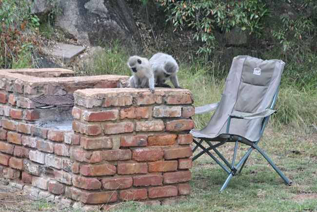 Camping in Südafrika