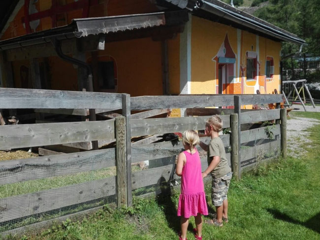 Spielplatz und Streichelzoo Mühlbach am Hochkönig