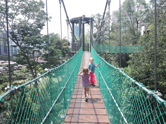 KL Forest Eco Park, Kuala Lumpur, Malaysia